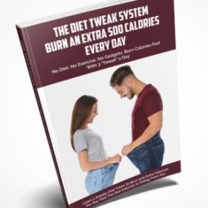 Diet Tweak System Ebook